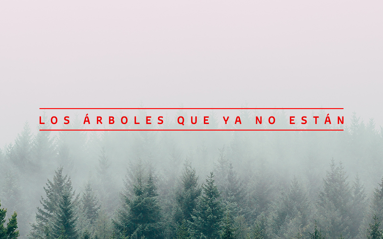 ARBOLES_TOYOTA