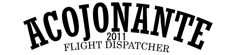 Logo Curso Flight Dispatcher 2011
